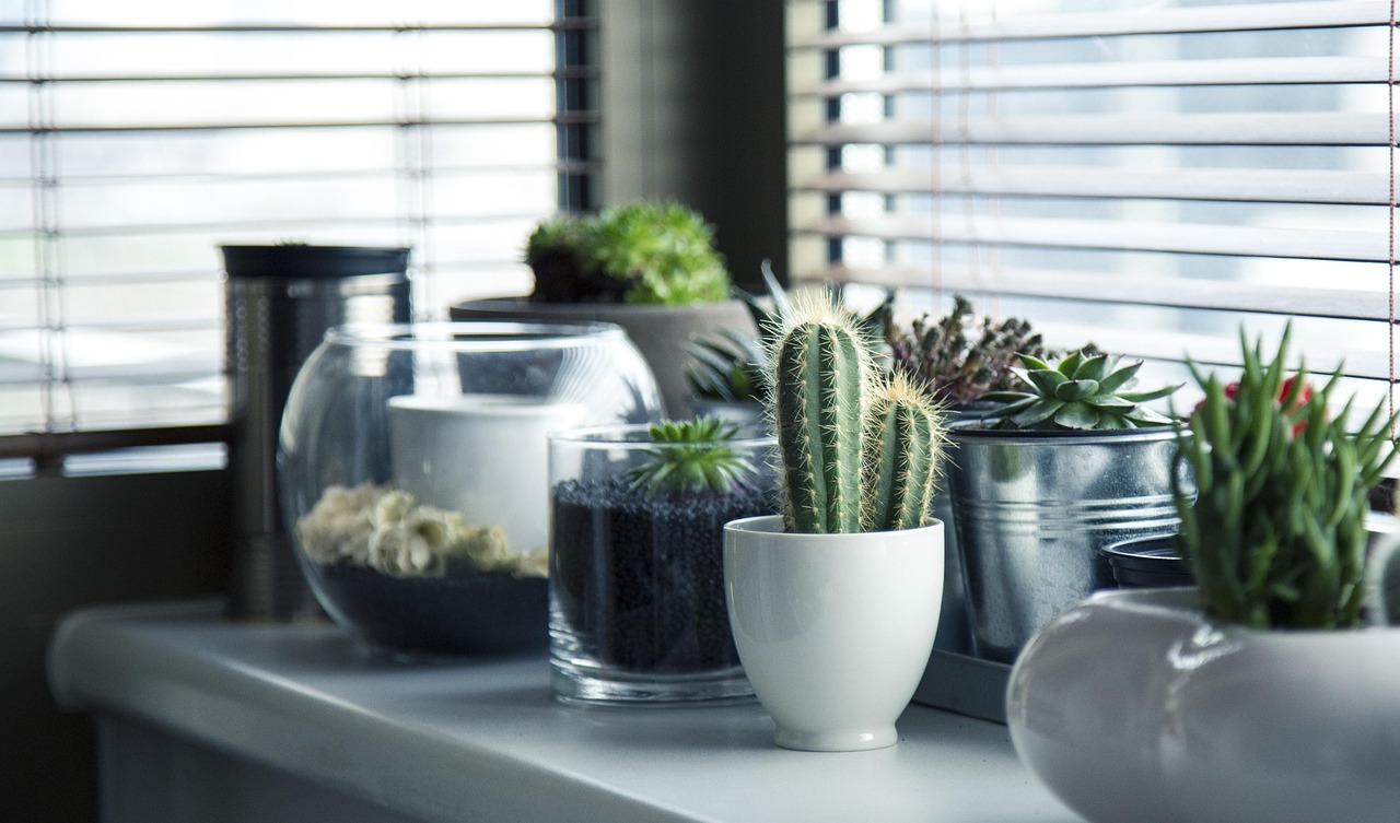 Verschillende kamerplanten verbeteren luchtkwaliteit huis. Verschillende kamerplanten verbeteren luchtkwaliteit huis.