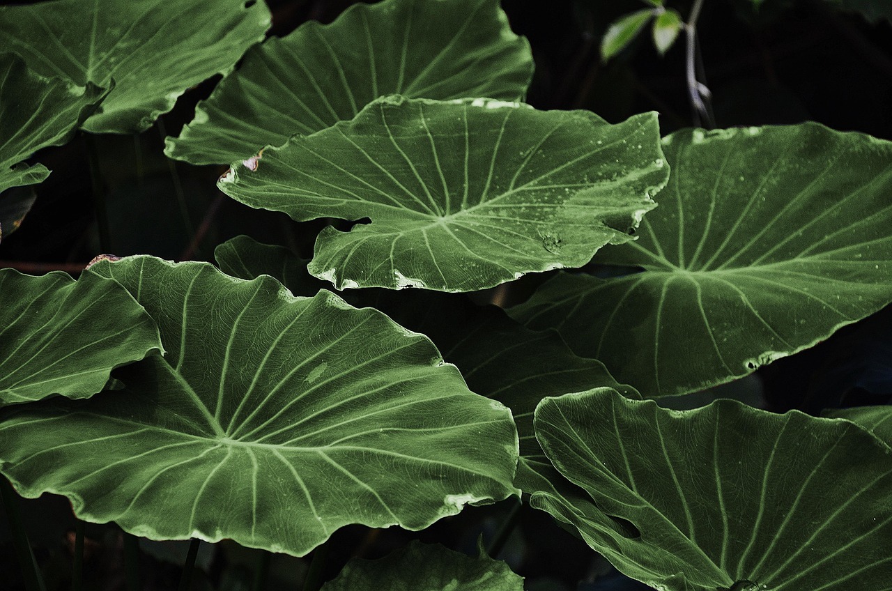 Tuinbankje naast sierlijke waterpartij in balans.